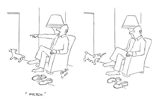 'Fetch.'