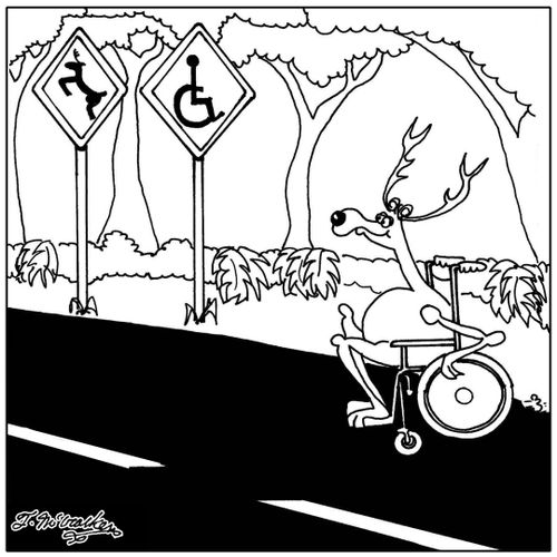 A deer crosses the road in a wheel chair where there's both a deer crossing and a handicap sign.