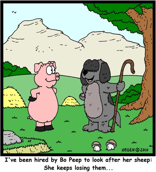 'I've been hired by Bo Peep to look after her sheep: She keeps losing them...'