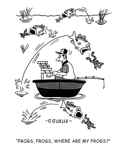 'Frogs, frogs, where are my frogs?'