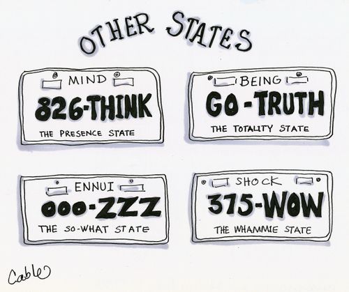 Auto license plates describing states of mind.