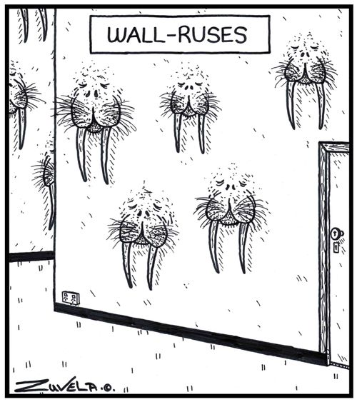 Wall-ruses.