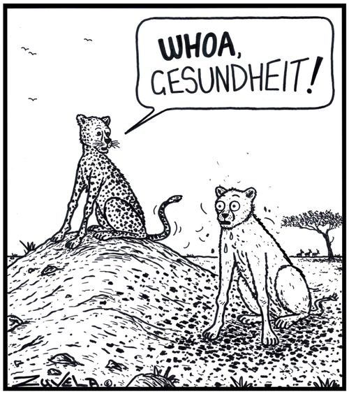 Cheetah: 'WHOA, Gesundheit!' 