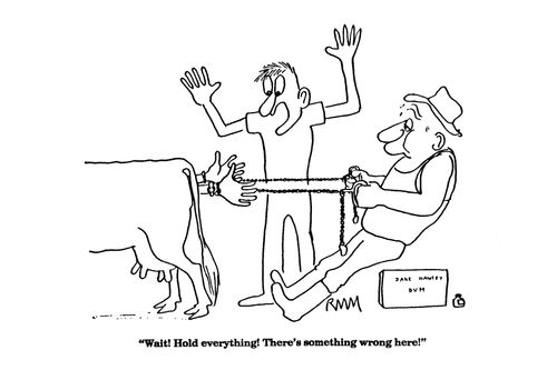 'Wait! Hold everything! There's something wrong here!'