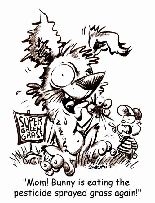 Pesticide Bunny: Mom! Bunny is eating the pesticide sprayed grass again!