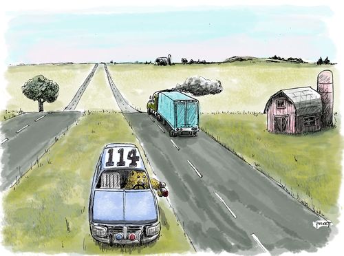 'Bear in the middle' speed trap.