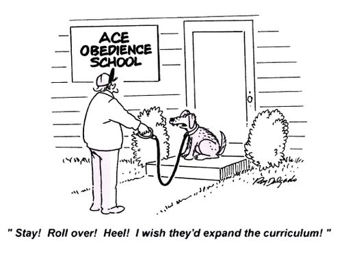 'Stay! Roll over! Heel! I wish they'd expand the curriculum!'