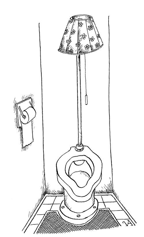 Lamp & Flush Attached to Toilet