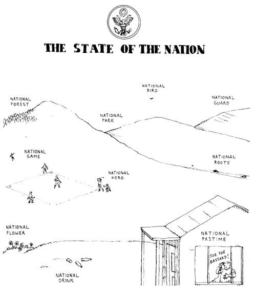 'The state of the (American) Nation'