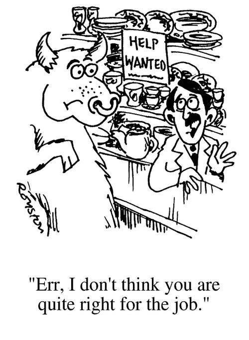 Bull in china shop, "Err, I don't think you are quite right for the job."