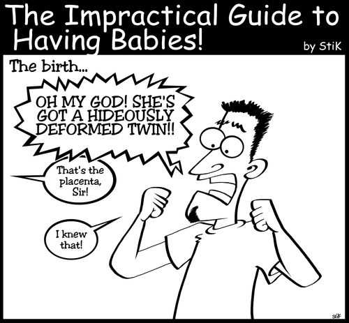 Impractical Guide to Having Babies