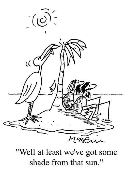 'Well at least we've got some shade from the sun.'