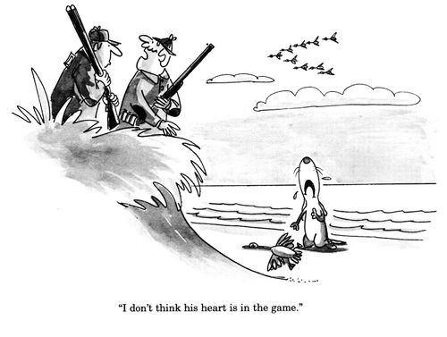 'I don't think his heart is in the game.'