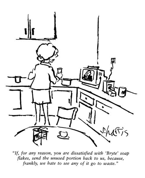 'If, for any reason, you are dissatisfied with Bryte soap flakes, send the unused portion back to us, because, frankly, we hate to see any of it go to waste.'