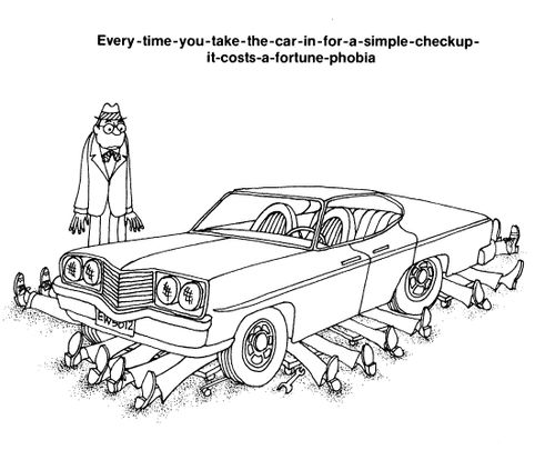 Every time you take the car in for a simple checkup it costs a fortune phobia.
