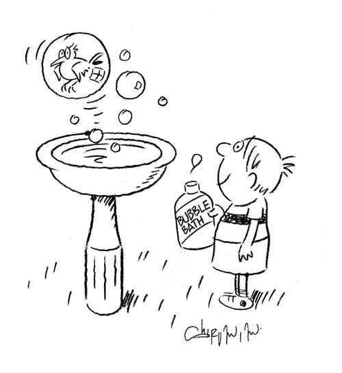 Bird in a Bubble.