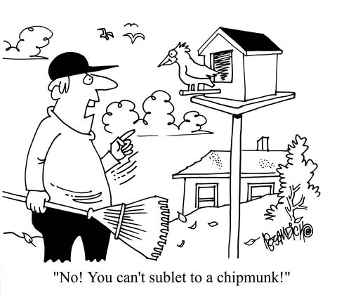 'No! You can't sublet to a chipmunk!'
