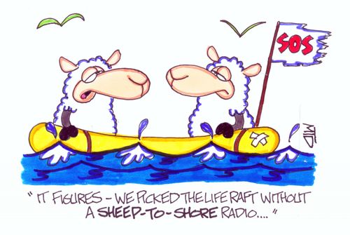 'It figures- we picked the life raft without the sheep-to-shore radio...'