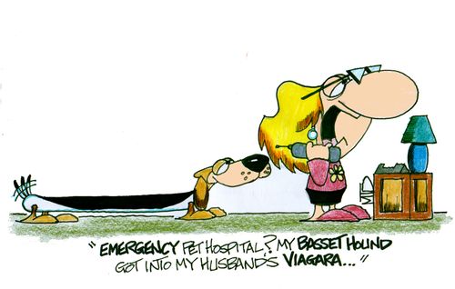 ' Emergency Pet Hospital? My Basset Hound got into my husband's Viagara...'