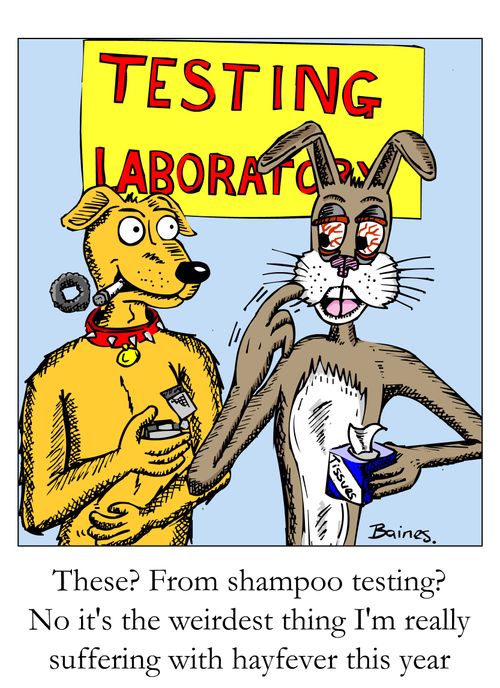 "These? From shampoo testing? No it's the weirdest thing I'm really suffering with hayfever this year."