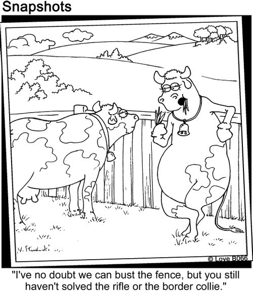 'I've no doubt we can bust the fence, but you still haven't solved the rifle or the border collie.'