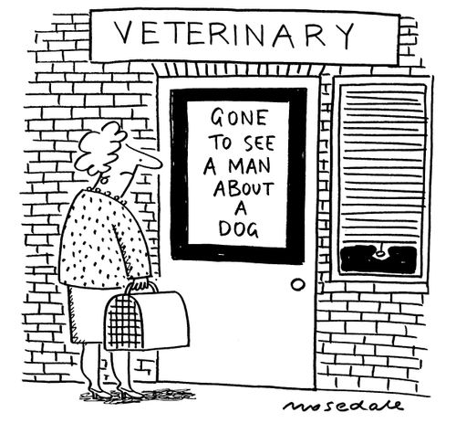 Vet gone to see a man about a dog.