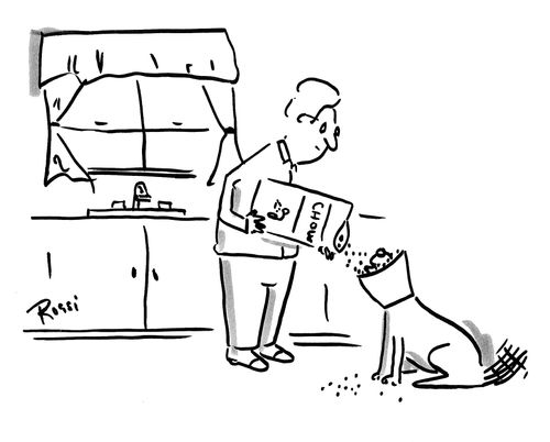 Feeding the dog.