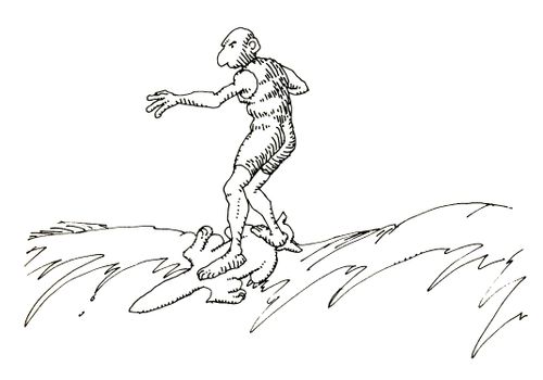 101 uses of a dead cat: surf board.