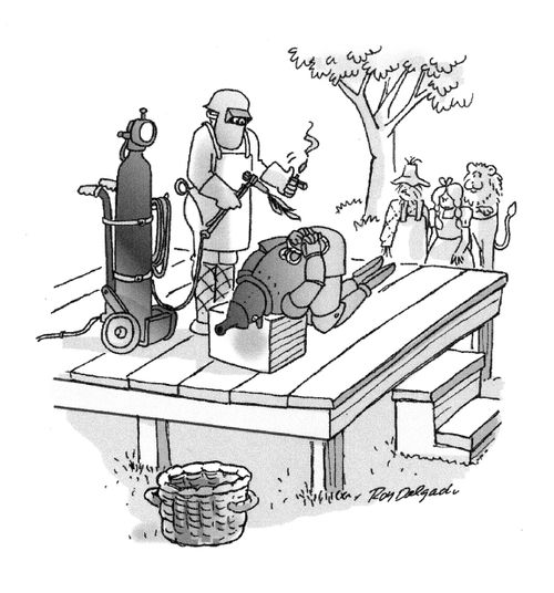 The Execution of the Robot