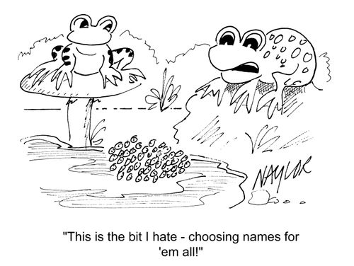 'This is the bit I hate, choosing names for them all!'