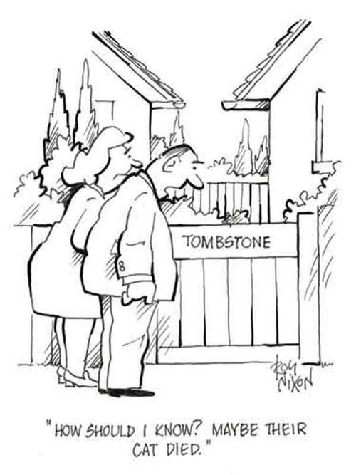 'How should I know? Maybe their cat died.'