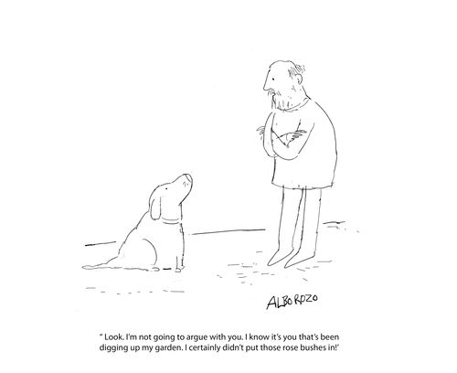 I know it's you that's been digging up my garden. I certainly didn't put those rose bushes in. 