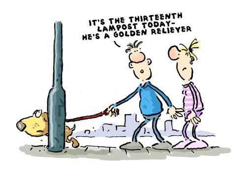 'It's the thirteenth lamppost today...he's a golden reliever.'