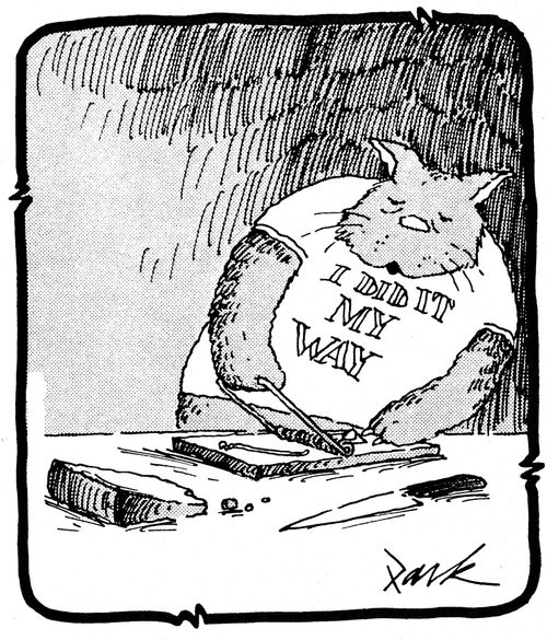 Cat using mousetraps