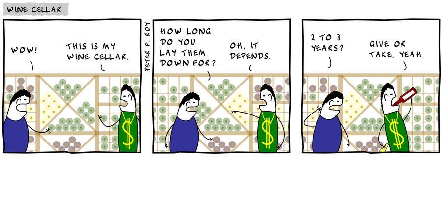 'Wow!' - 'This is my wine cellar.' - 'How long do you lay them down for?' - 'Oh, it depends.' - '2 to 3 years?' - 'Give or take, yeah.'