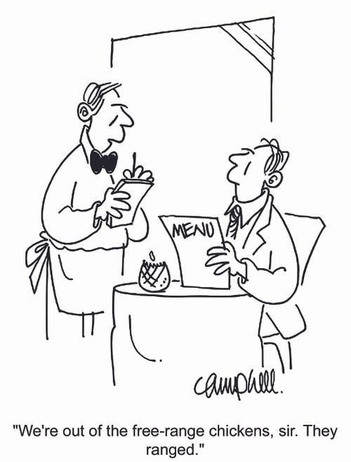 'We're out of the free-range chickens, sir. They ranged.'