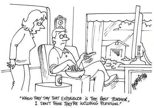'When they say that experience is the best teacher, I don't think they're including television.'