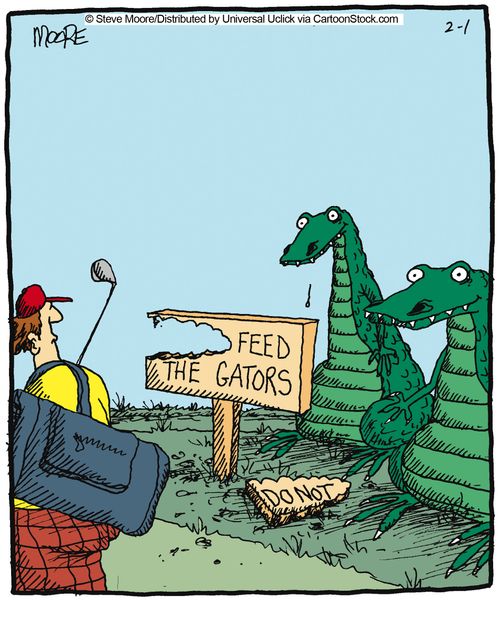 Feed the Gators.
