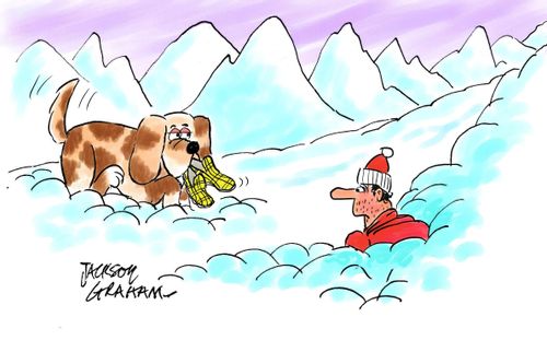 St Bernard and slippers.
