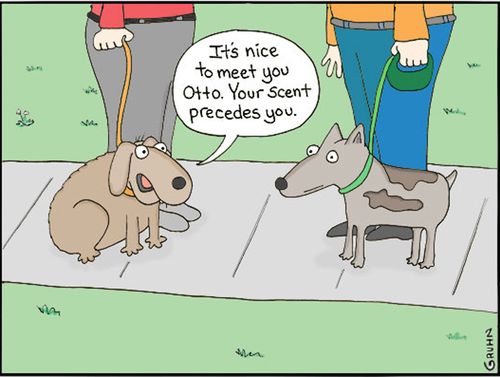 'It's nice to meet you Otto. Your scent precedes you.'