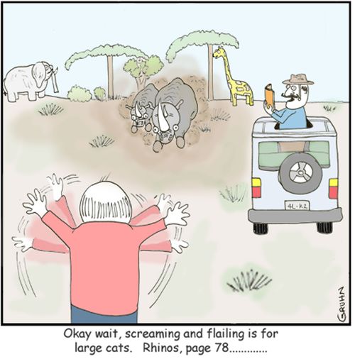 'Okay wait. Screaming and failing is for large cats...'