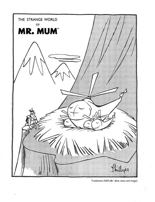 Helicopter Nest