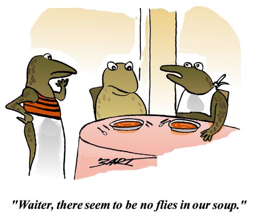 'Waiter, there seem to be no flies in our soup.'