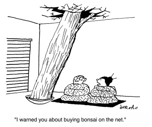 'I warned you about buying bonsai on the net.'