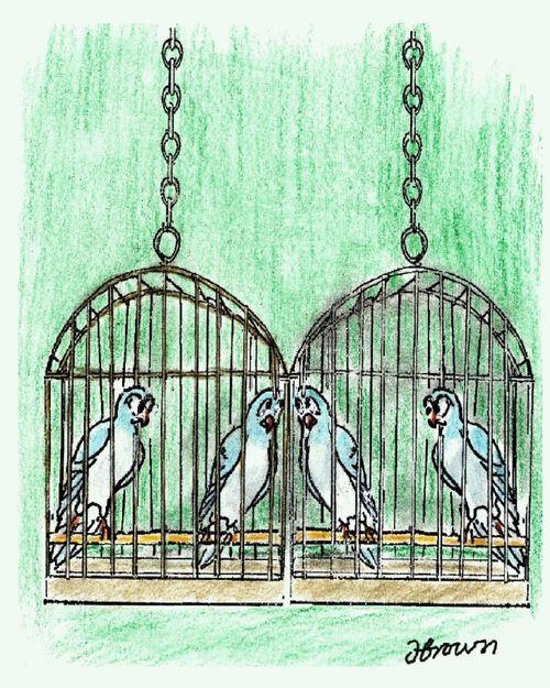 Caged Lovers.