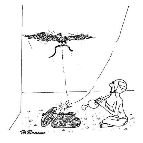 An birds sweeps down and steals a piper's snake.