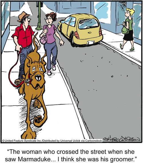 'The woman who crossed the street when she say Marmaduke. . . I think she was his groomer.'