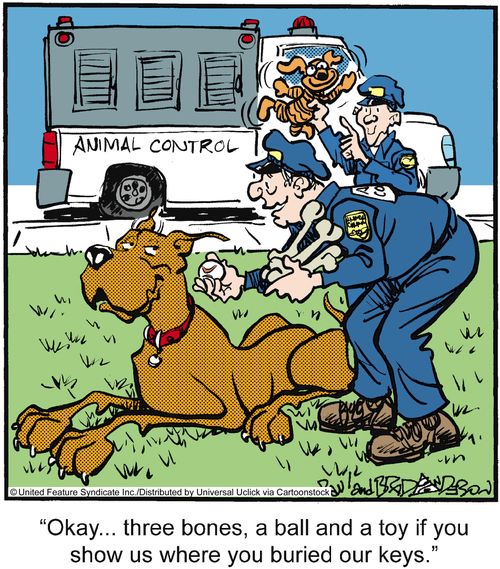 'Okay. . . three bones, a ball and a toy if you show us where you buried our keys.'