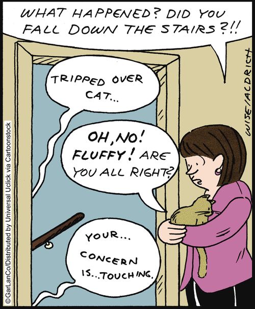 'Tripped over the cat.'