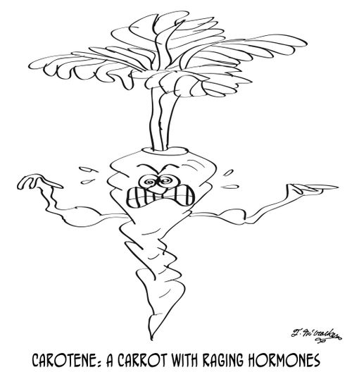 Carotene: A carrot with raging hormones.